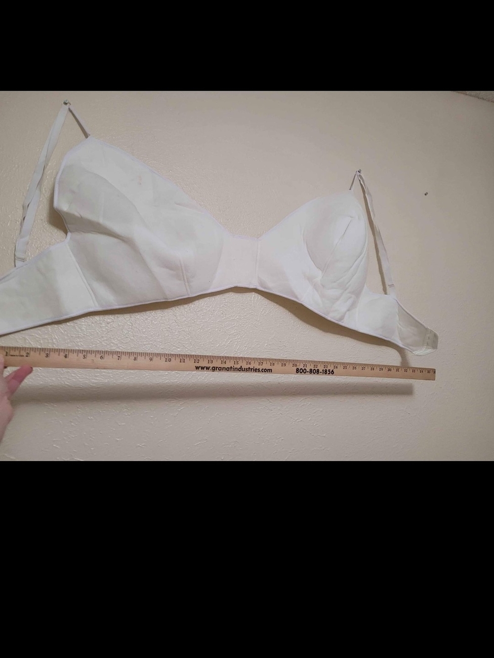 GAG bra. (NOT a real bra.)